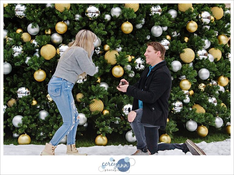 Proposal at Legacy Village in Ohio