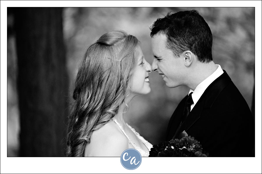 Wedding at Lantern Court at Holden Arboretum