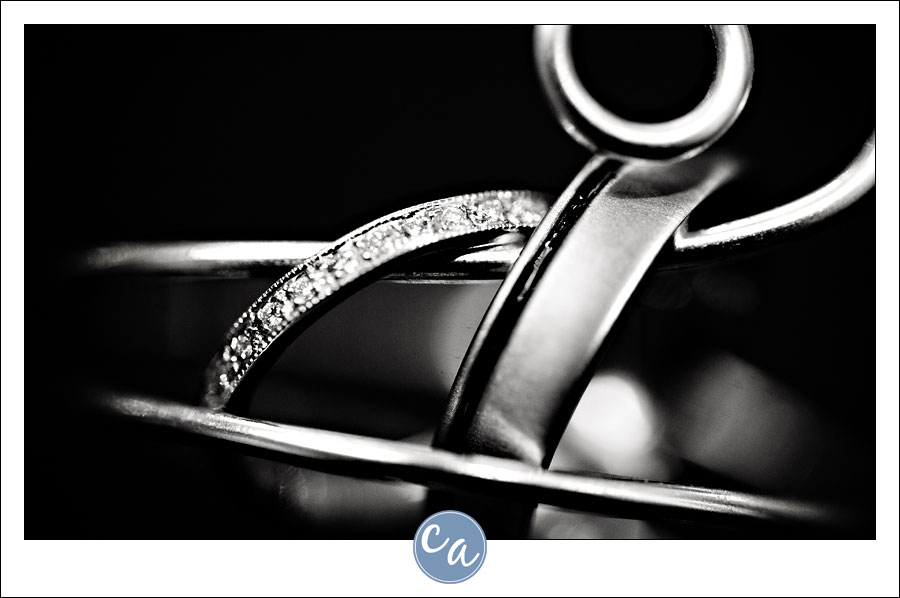 Wedding at Lantern Court at Holden Arboretum