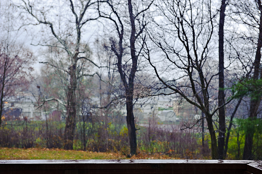 Day 14 Movement Rain in Northeast Ohio