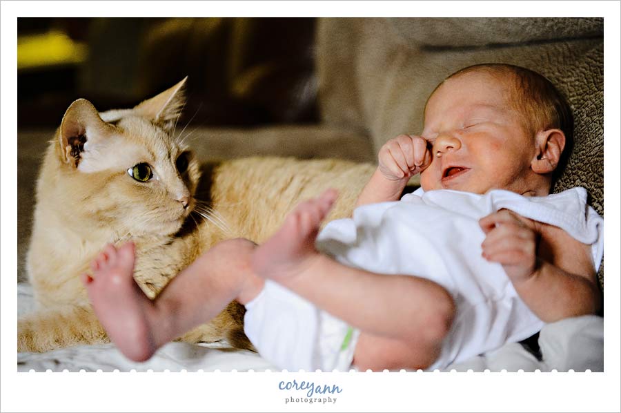 newborn baby session in north canton ohio (7)