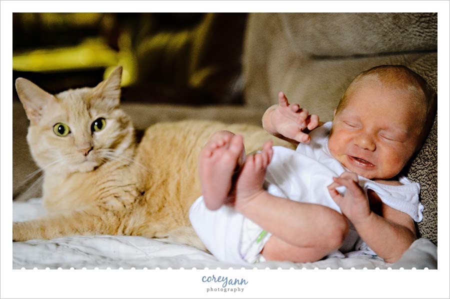 newborn baby session in north canton ohio (6)