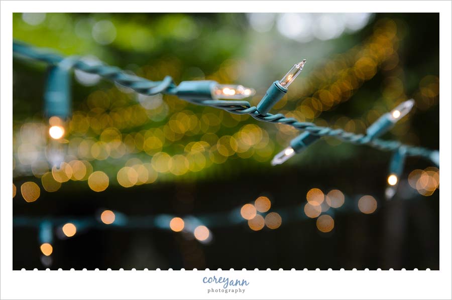 twinkle lights strung in backyard for wedding in akron ohio