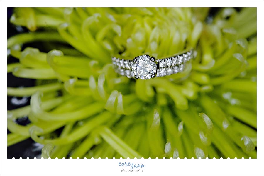 Jenny and Joe's Wedding wedding rings on green spider mum
