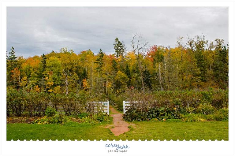 path to the haunted wood at Green Gables PEI