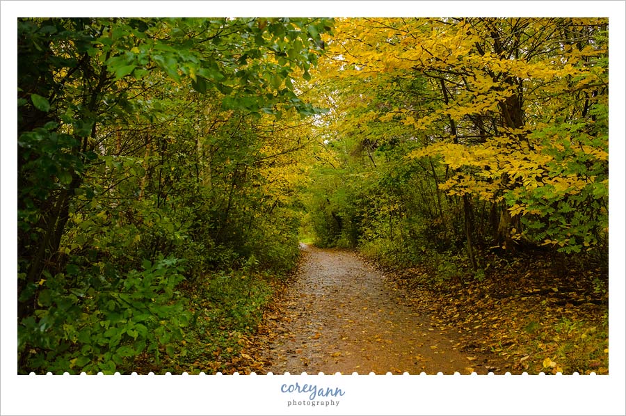 lovers lane at green gables Prince Edward Island in Canada