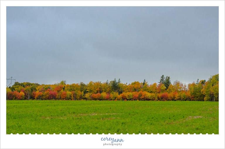 Fall foliage on Prince Edward Island in Canada