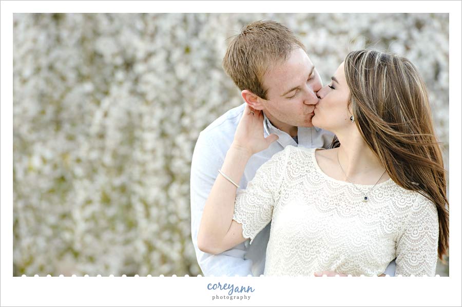 wade lagoon cherry blossoms