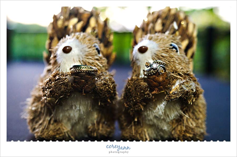 wedding rings on squirrels