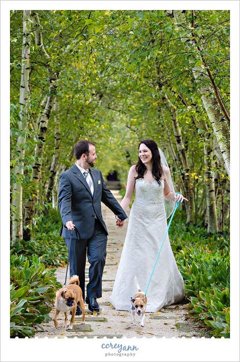 bride and groom walking with dogs 