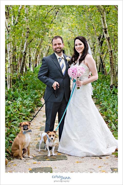bride and groom wedding portrait  with pet dogs