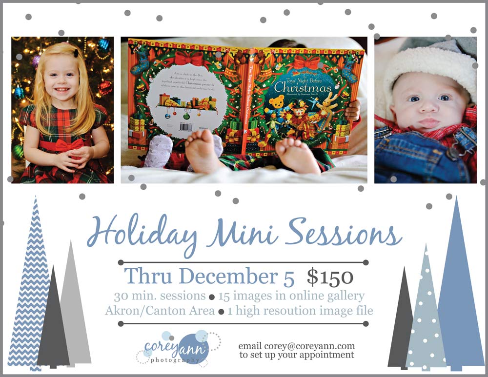 Holiday Mini Sessions!