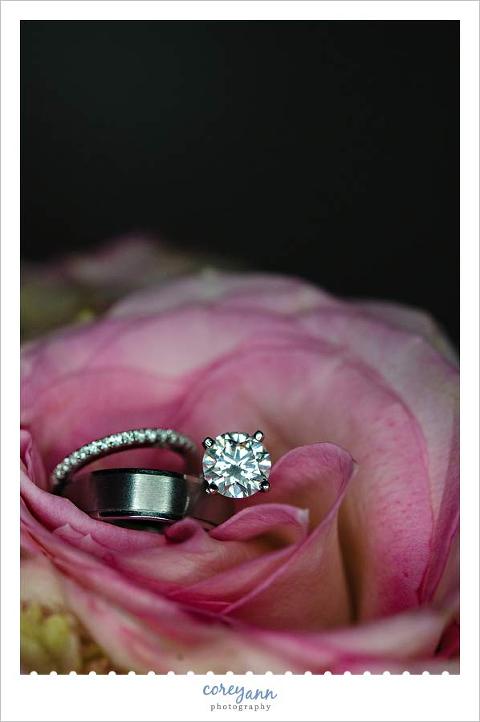 wedding rings on rose