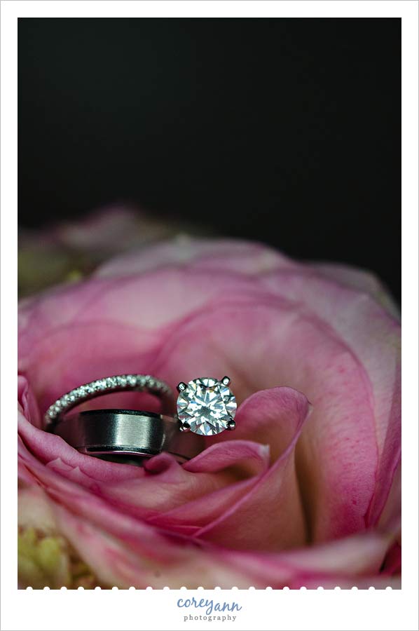 wedding rings on rose
