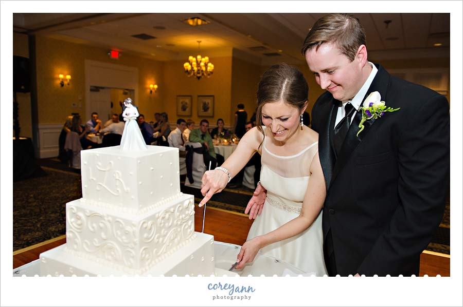 cutting the cake at wedding reception in rocky river ohio