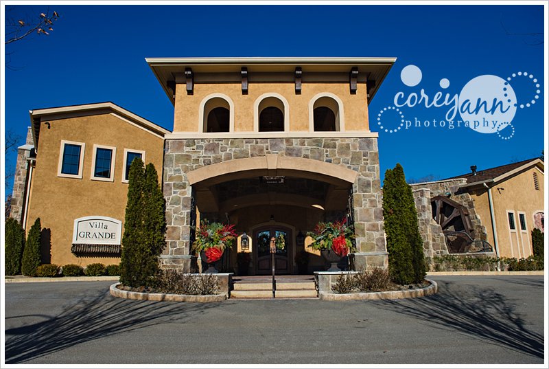 villa grande at gervasi vineyard in canton ohio