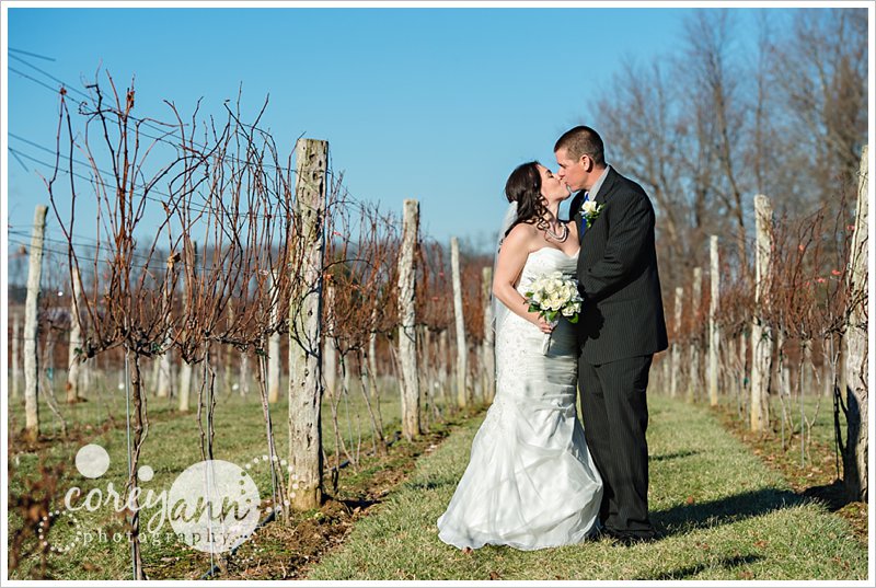 wedding portrait in grape vineyard at gervasi winery