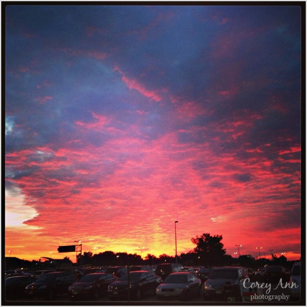 disneyanimalkingdom_0001