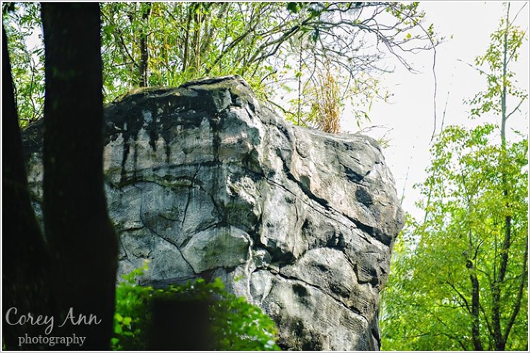 disneyanimalkingdom_0018