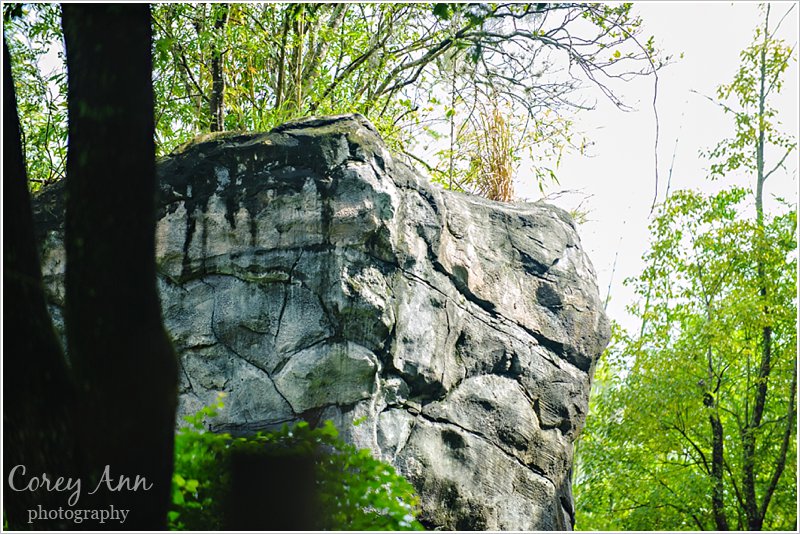 disneyanimalkingdom_0018