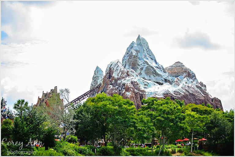 disneyanimalkingdom_0023