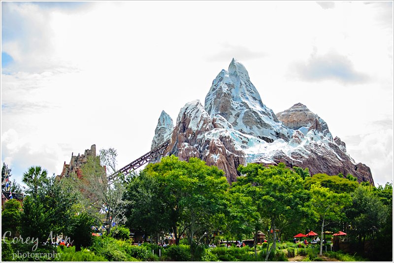 disneyanimalkingdom_0023