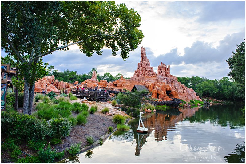 Disney World's Magic Kingom Corey Ann Photography