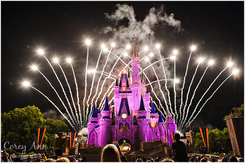 Disney World’s Magic Kingom