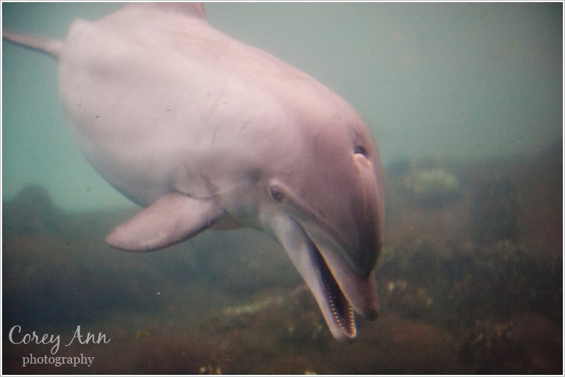 SeaWorldOrlando_0003