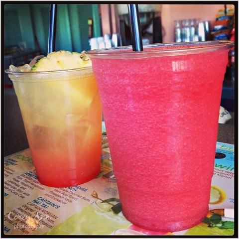 SeaWorldOrlando_0009