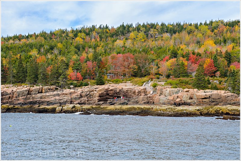 acadia national park shoreline