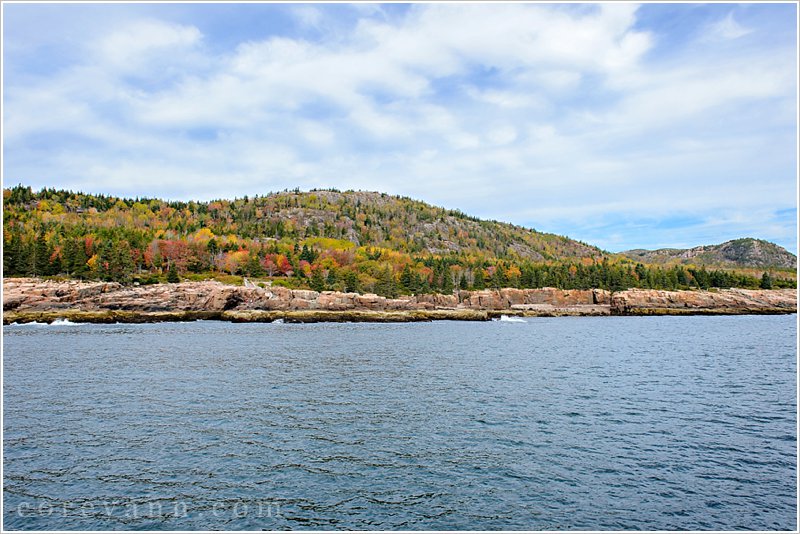acadia national park in autumn