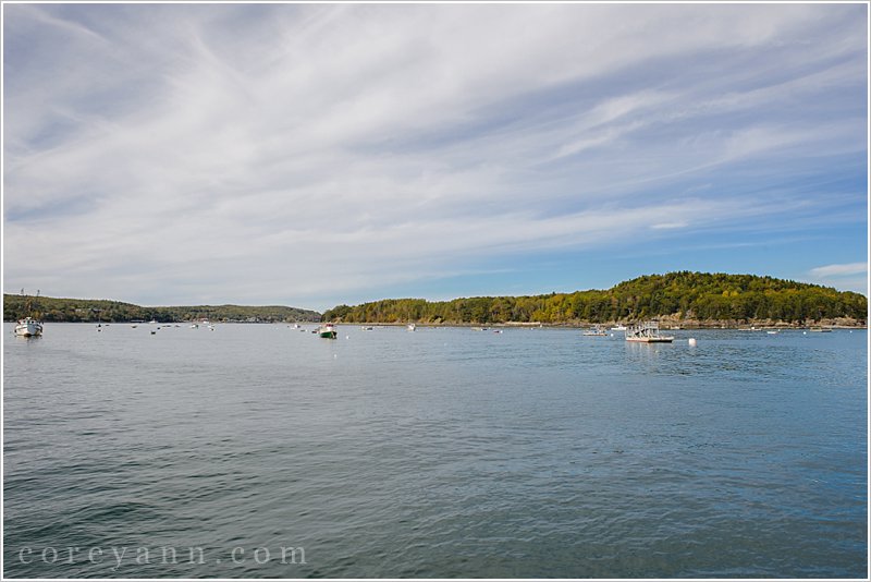 bar harbor lobster boats