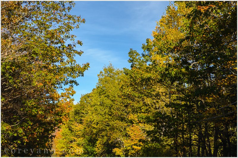 mount desert island in october