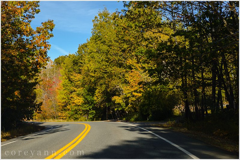 acadia national park in autumn