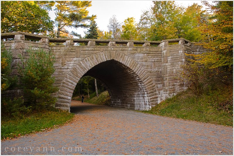 carriage road bridge in acadia national park near eagle lake