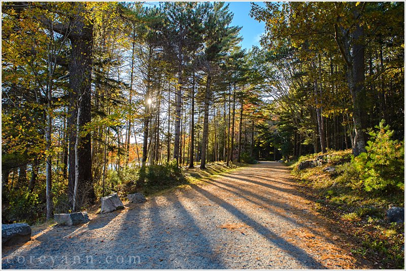 path along eagle lake in maine