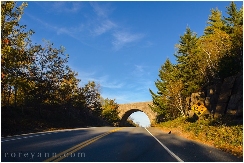 carriage road bridge over highway in maine