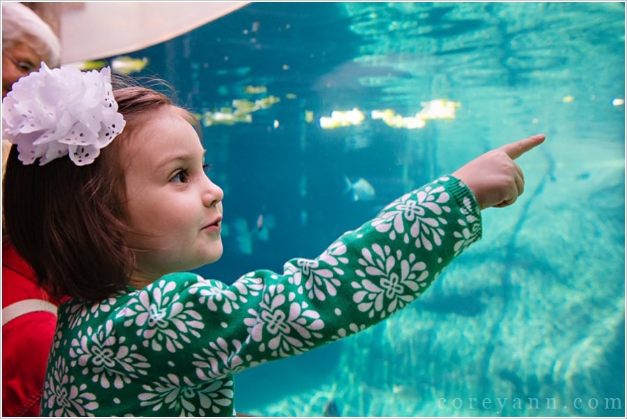 ColumbusZooPortrait_0001