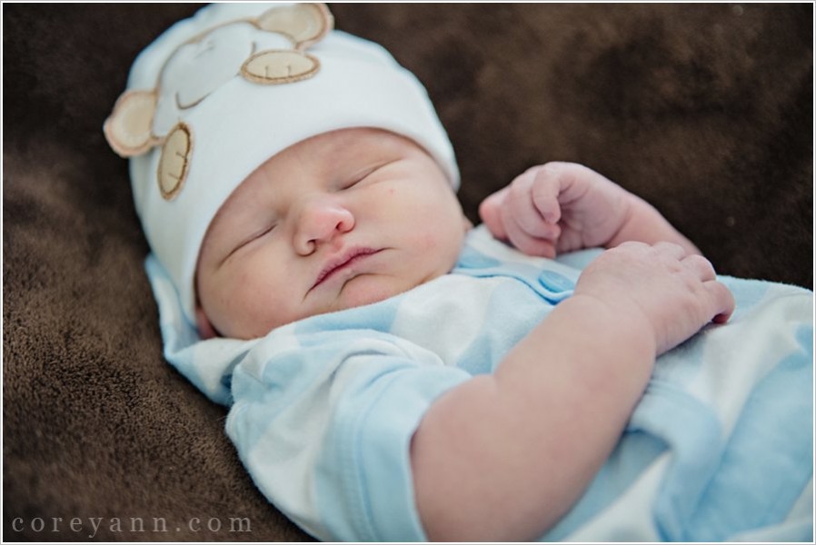 newborn baby portrait in north canton