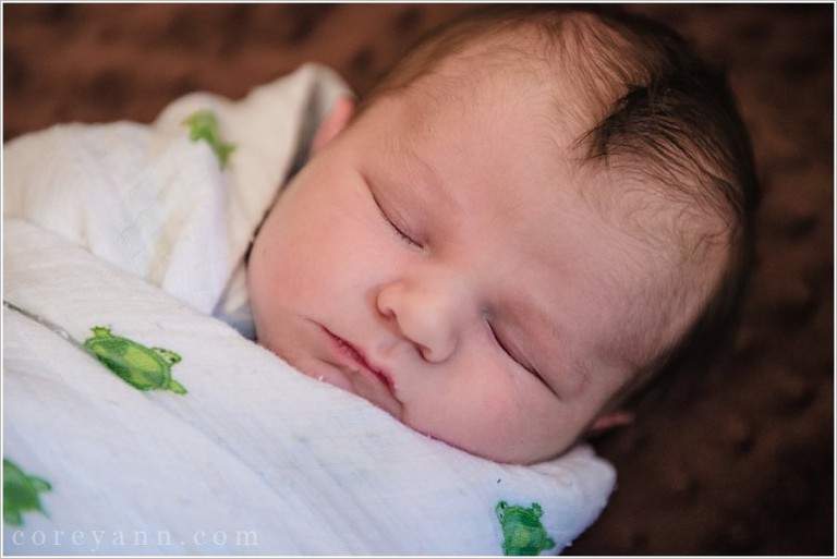 newborn baby portrait in north canton