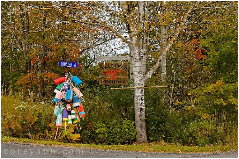 buoys on lobster rd street sign in owls head maine