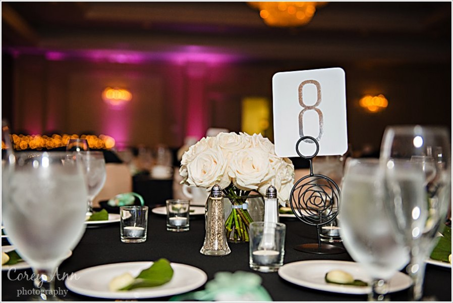 wedding reception at sheraton in cuyahoga falls