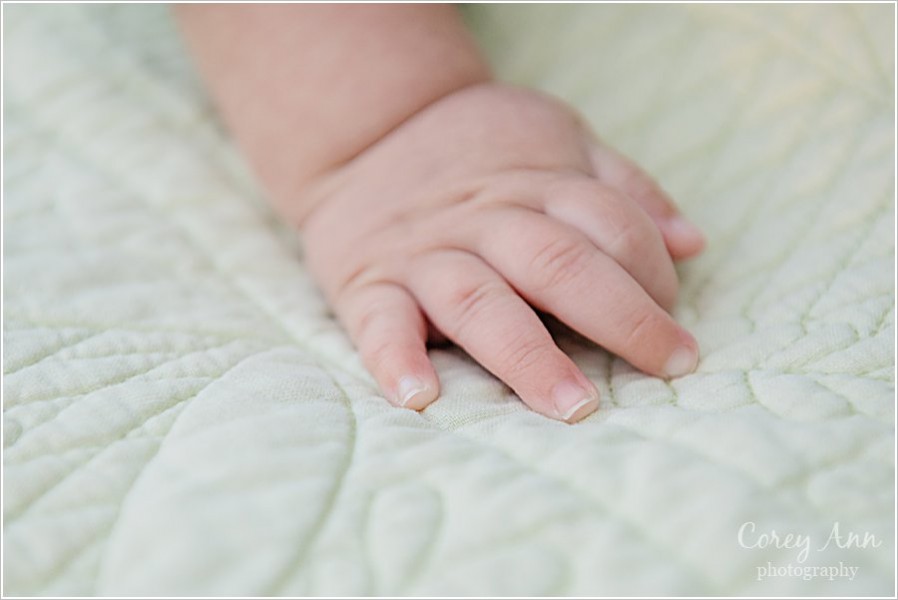 massillon-family-portrait_0012