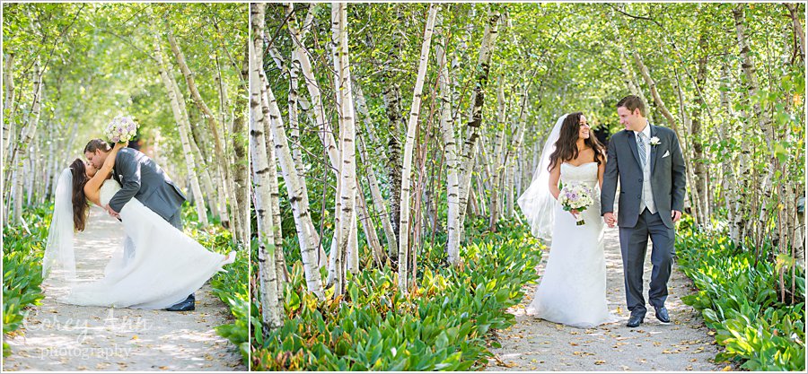 wedding photo in birch tree alee at stan hywet hall and gardens