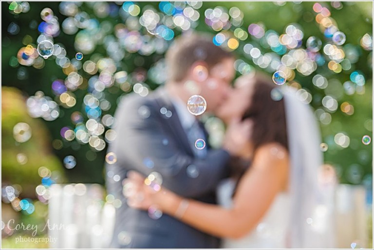 wedding portrait in the bubble fountain at stan hywet hall and gardens