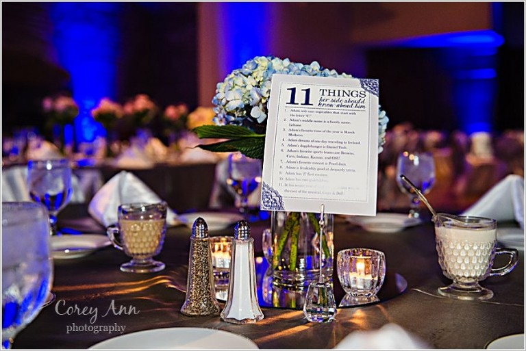 silver and blue wedding reception at stan hywet hall and gardens