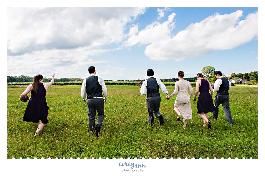 wedding party walking through vineyard in ohio