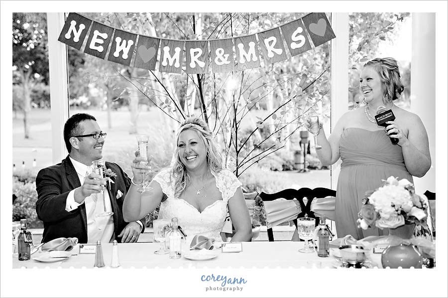 matron of honor toast at wedding reception in akron ohio