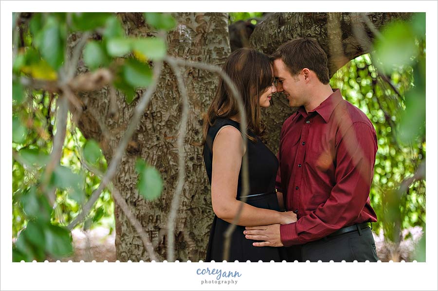 youngstown engagement session